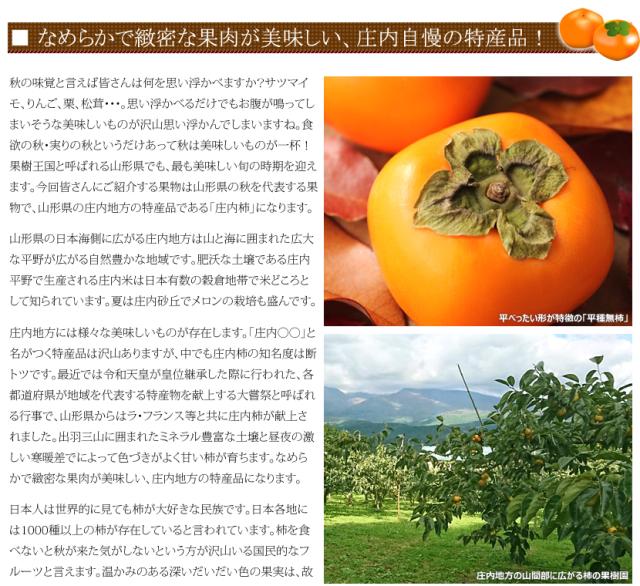 山形県産 庄内柿