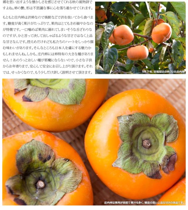 山形県産 庄内柿