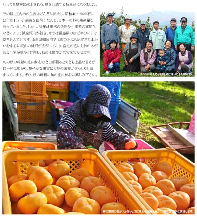 山形県産 庄内柿
