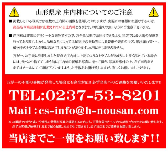 山形県産 庄内柿