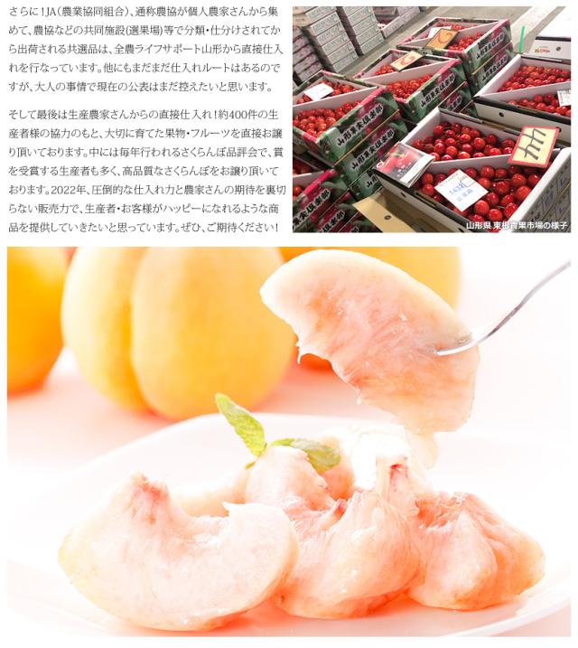山形県産 白桃