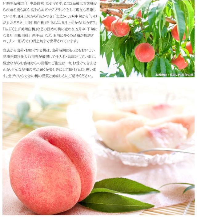 山形県産 白桃