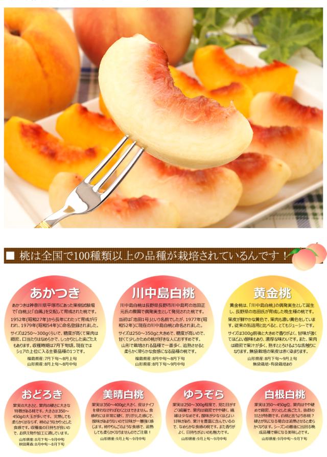 山形県産 白桃