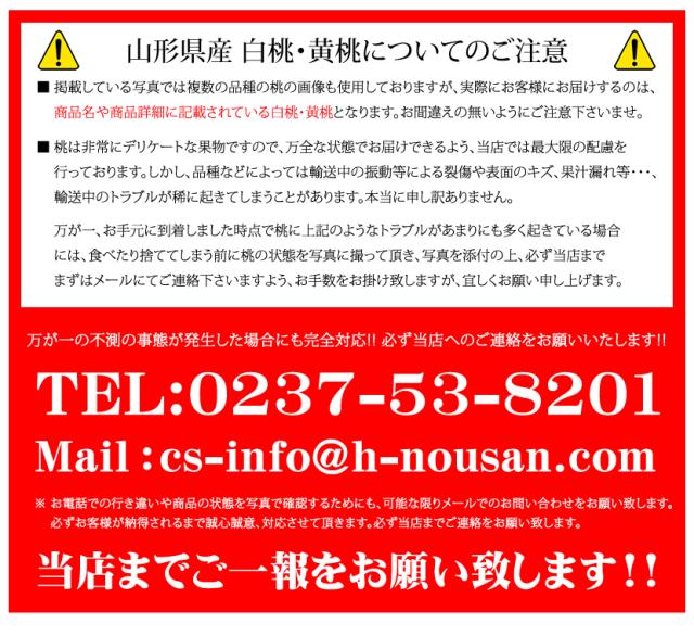 山形県産 白桃