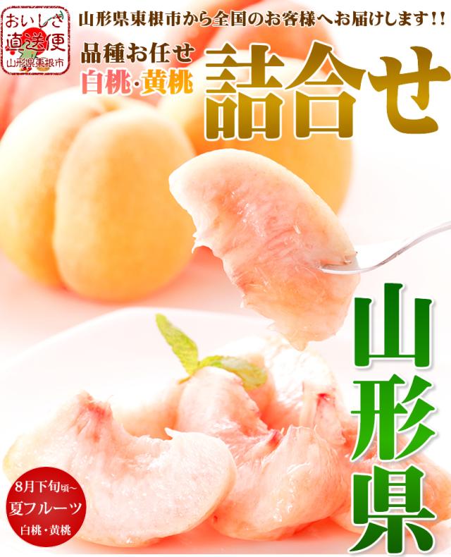 山形県産 詰め合わせ