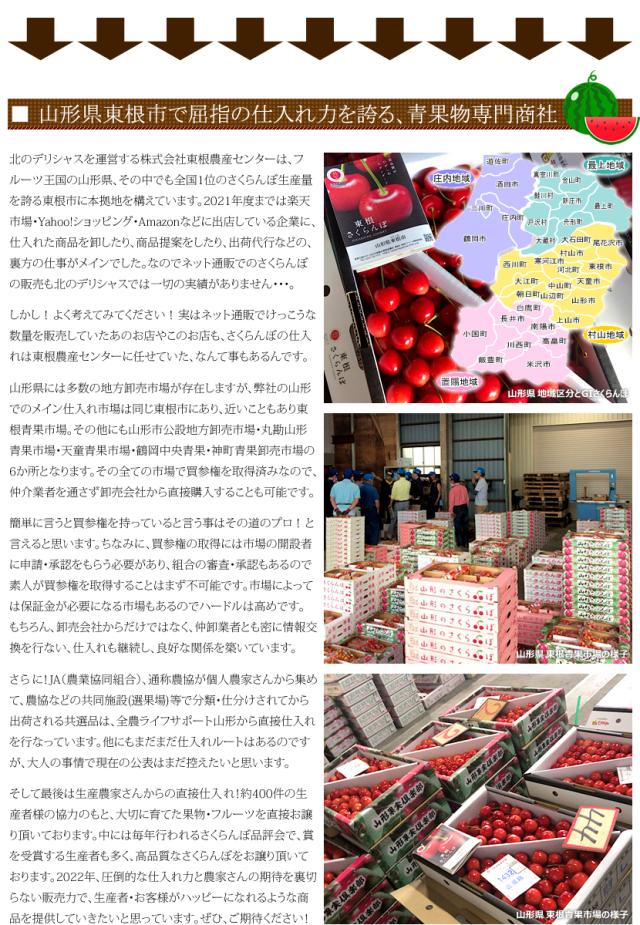 山形県産 尾花沢すいか