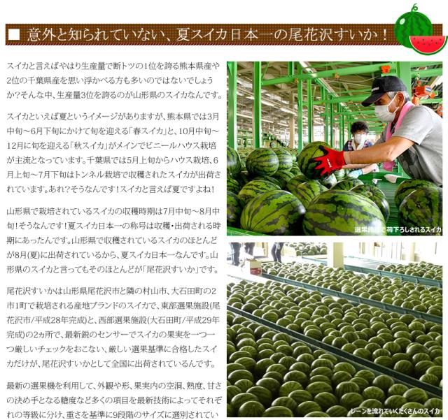 山形県産 尾花沢すいか
