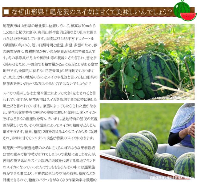 山形県産 尾花沢すいか