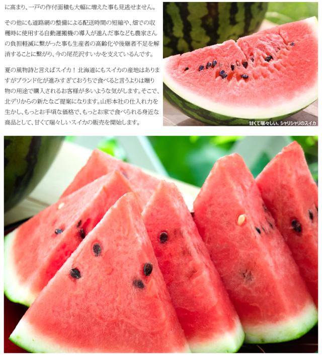 山形県産 尾花沢すいか