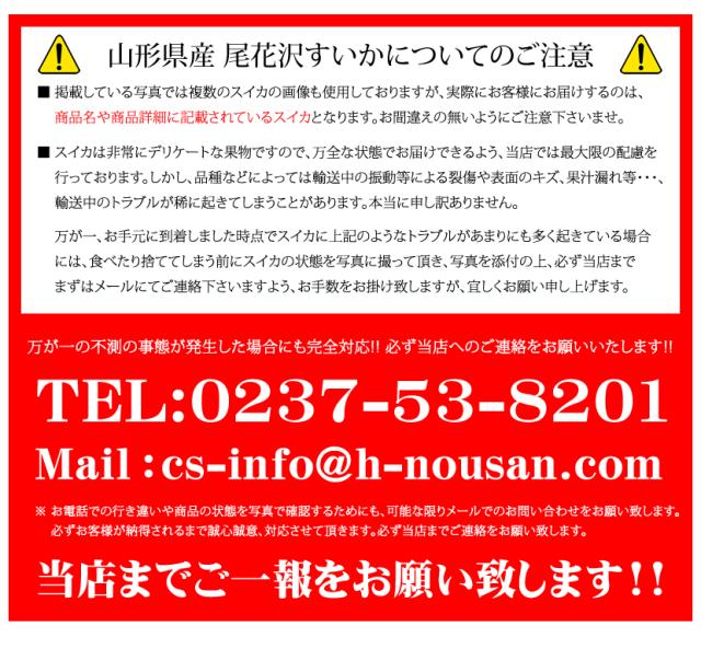 山形県産 尾花沢すいか