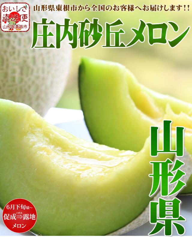 山形県産 砂丘メロン