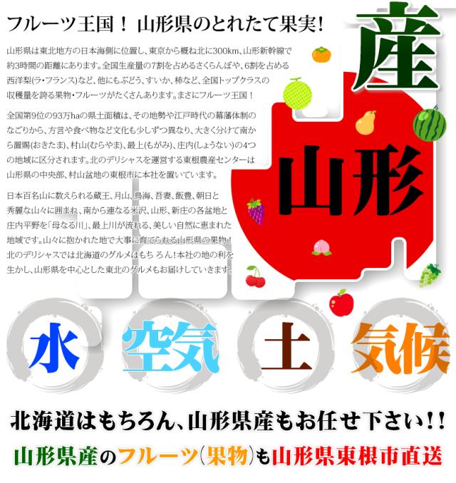山形県産 砂丘メロン