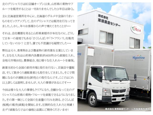 山形県産 砂丘メロン