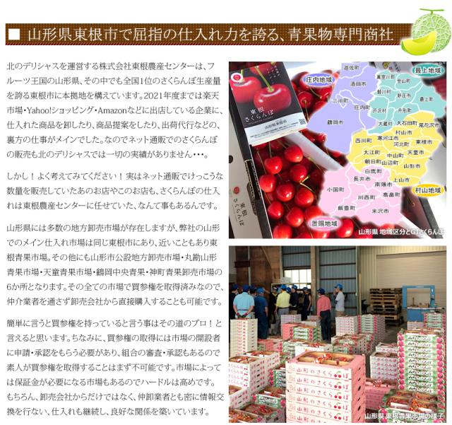 山形県産 砂丘メロン