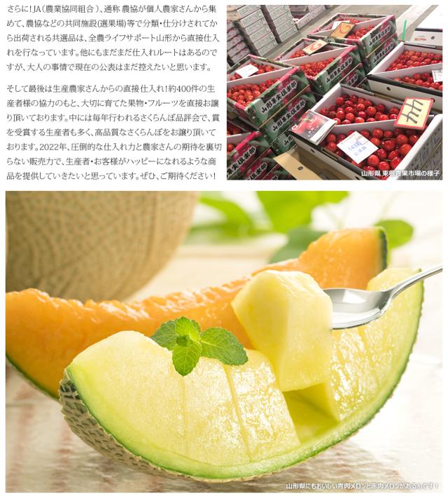 山形県産 砂丘メロン