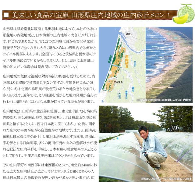 山形県産 砂丘メロン