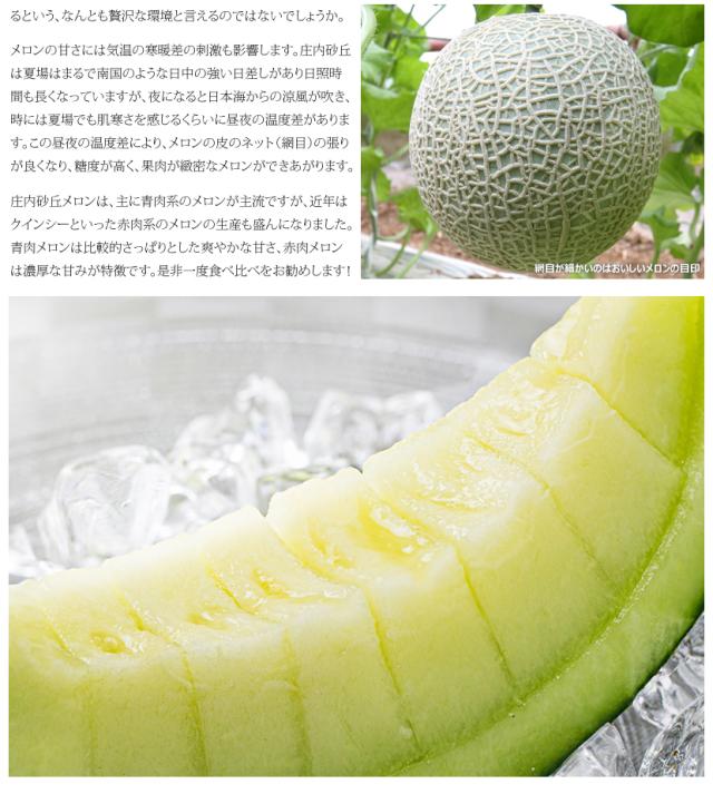 山形県産 砂丘メロン