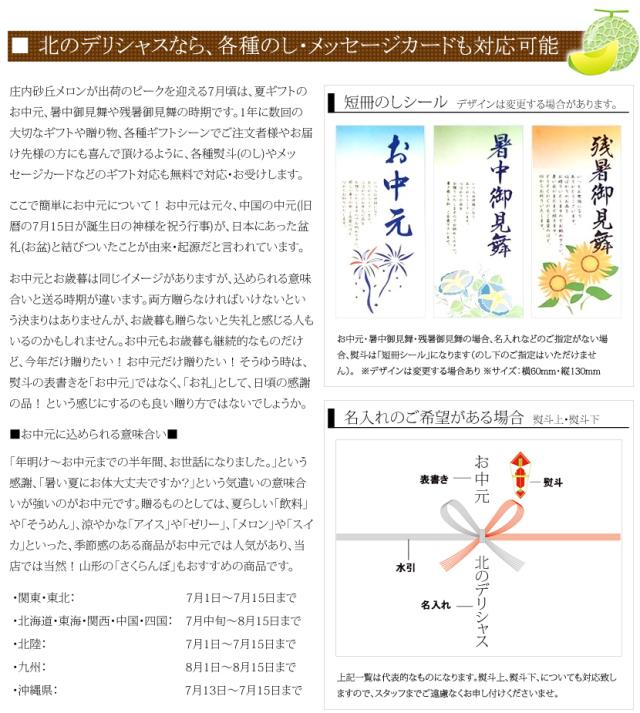 山形県産 砂丘メロン