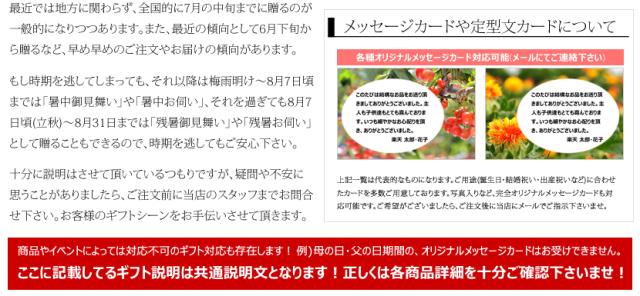 山形県産 砂丘メロン