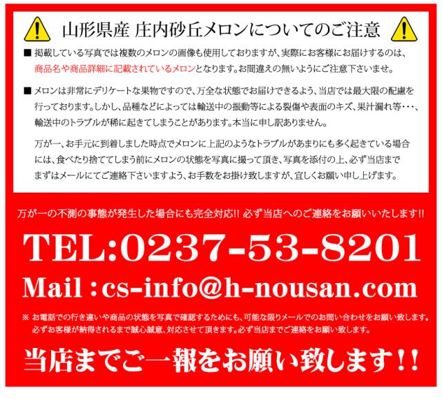 山形県産 砂丘メロン