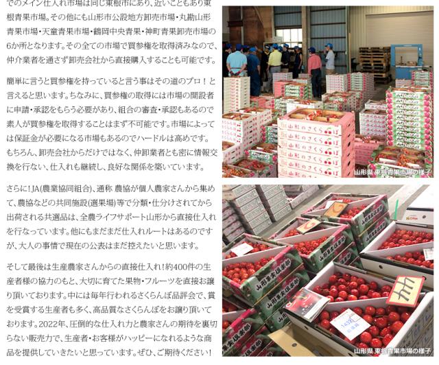 山形県産 西洋梨