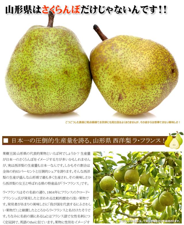 山形県産 西洋梨