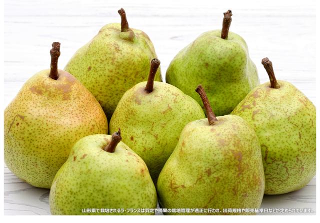 山形県産 西洋梨