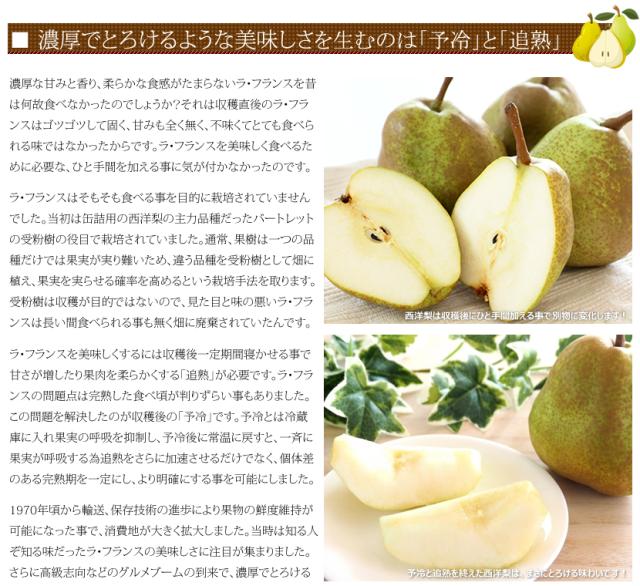 山形県産 西洋梨