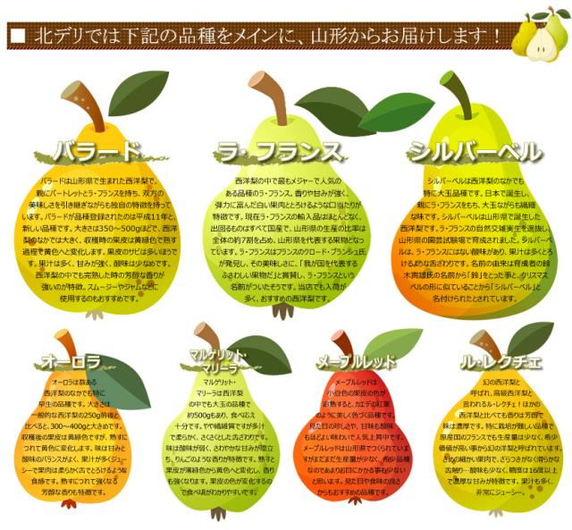 山形県産 西洋梨