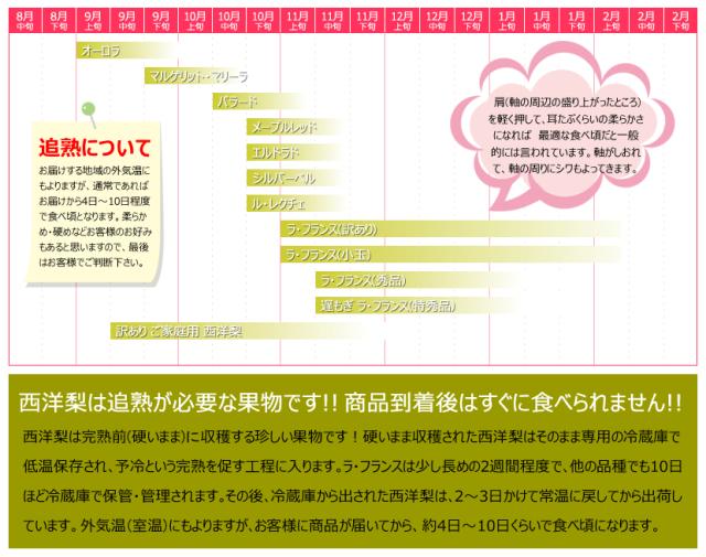 山形県産 西洋梨