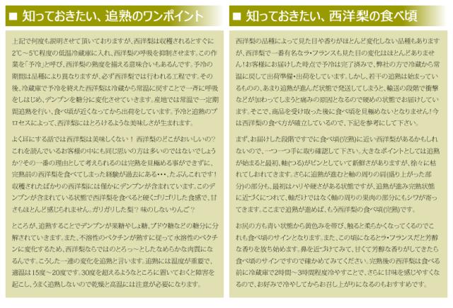 山形県産 西洋梨