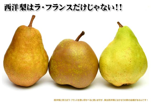 山形県産 西洋梨