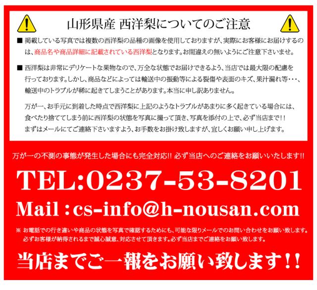 山形県産 西洋梨