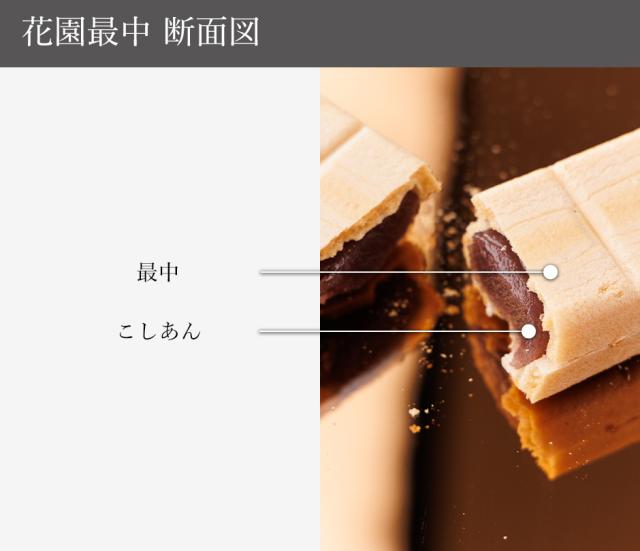 花園最中 断面図