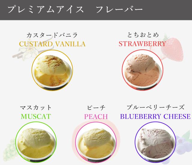 プレミアムソルベ フレーバー