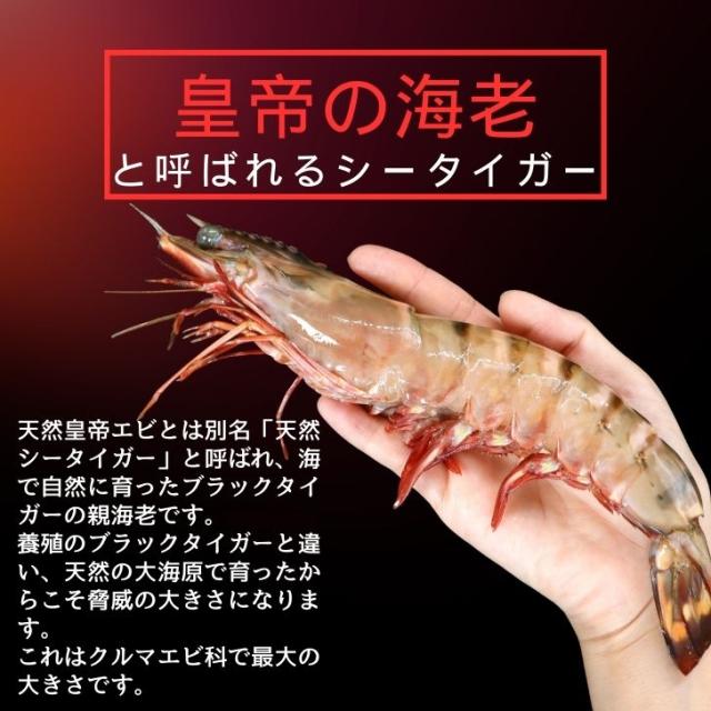 商品画像9