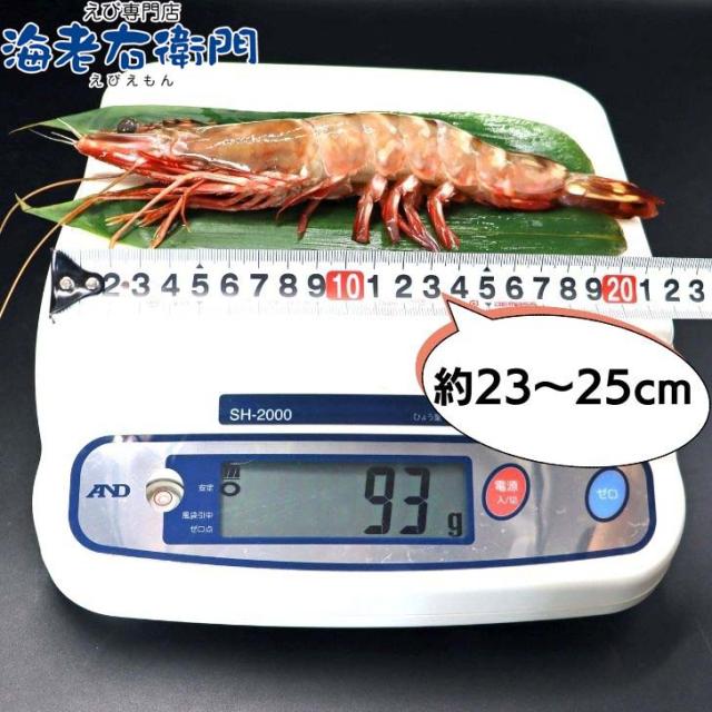 商品画像5