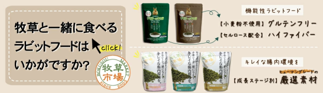 おすすめのラビットフード