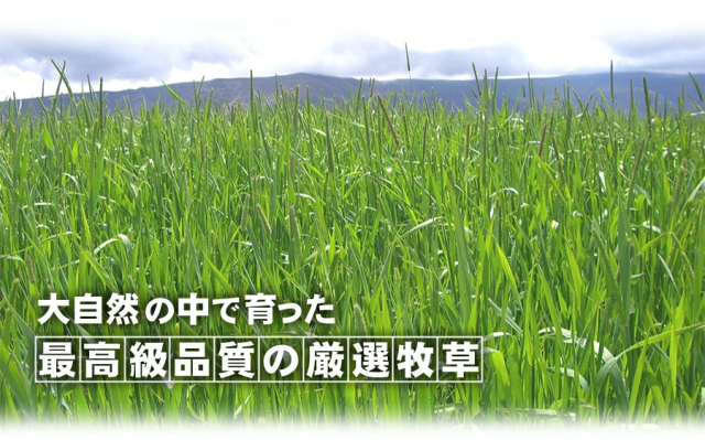 大自然の中で育った最高級品質の厳選牧草