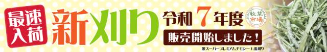 令和7年度産新刈り スーパープレミアムチモシー 1番刈り