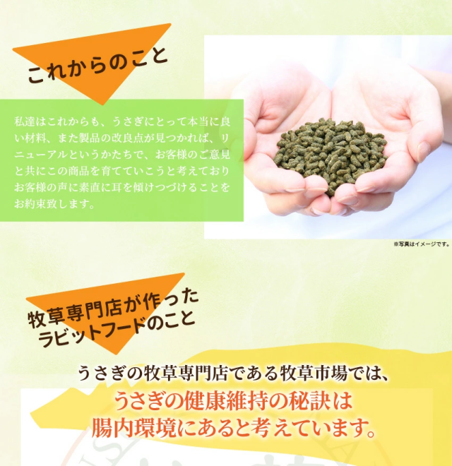 これからのこと_1