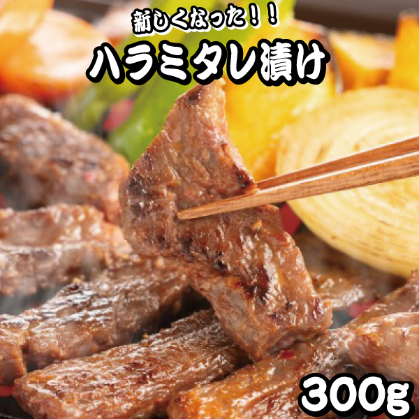 ハラミタレ漬けメイン