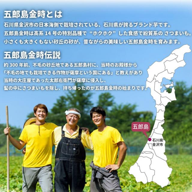 五郎島金時とは