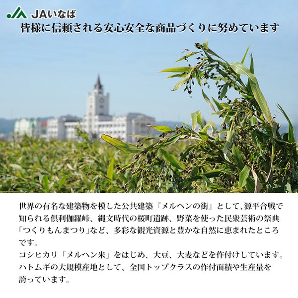 JAいなば