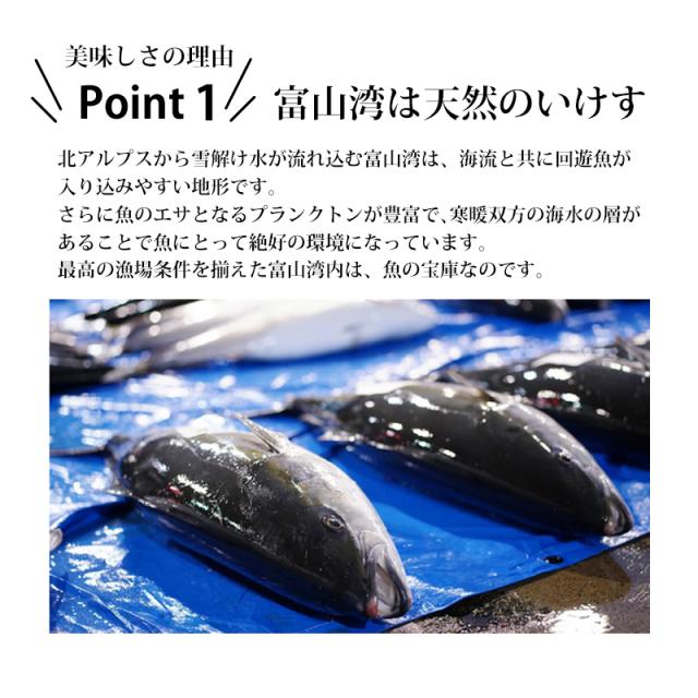 ポイント1 富山湾は天然の生簀