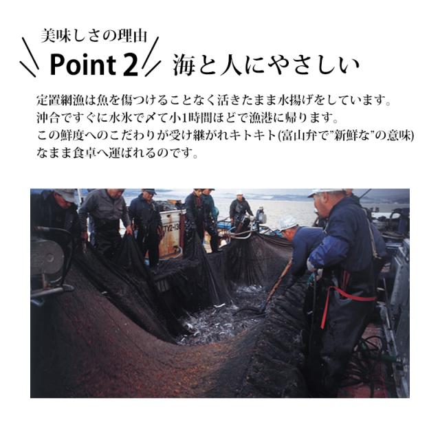 ポイント2 海と人にやさしい