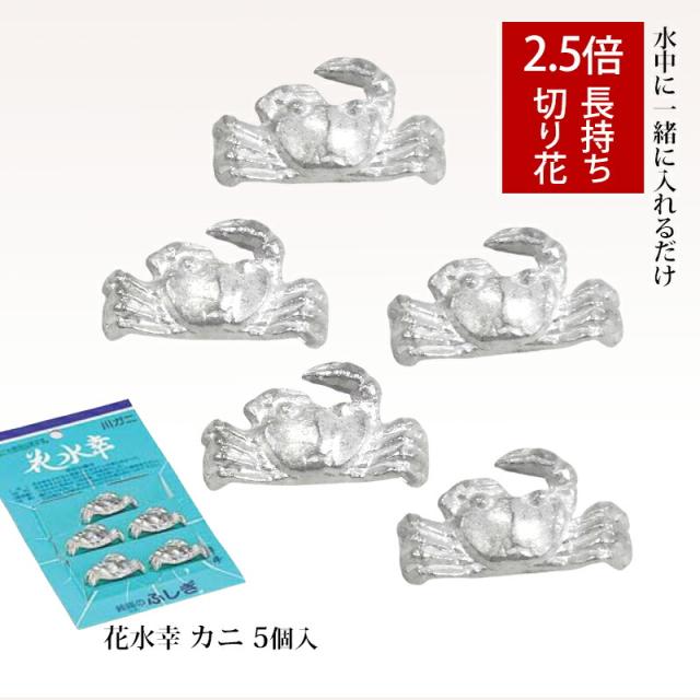 花水幸 お花と一緒に水中に入れれば2.5倍長持ち