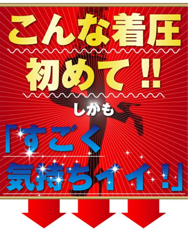 商品説明文