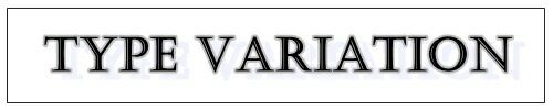 タイプバリーション