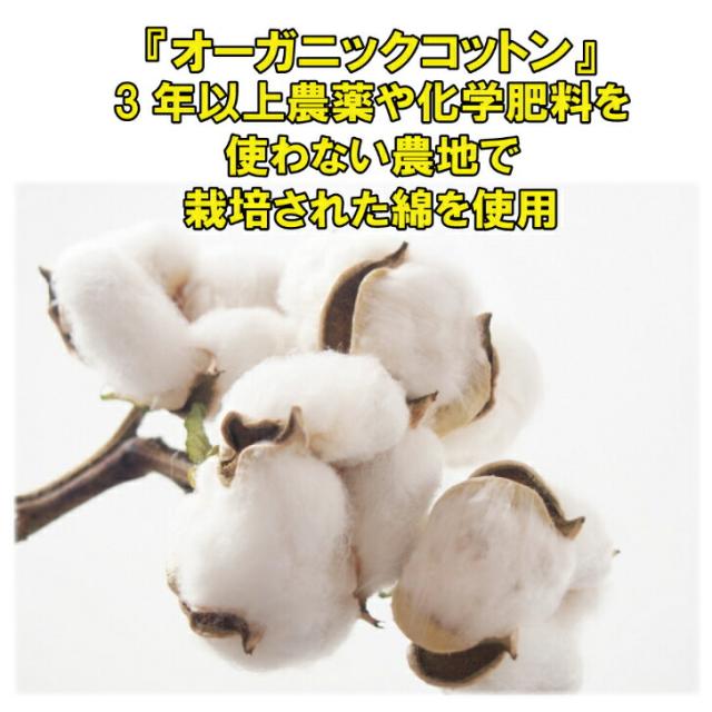 商品画像11